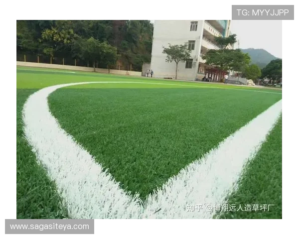 世俱杯足球场的草坪维护技术与比赛安全保障措施详解 世俱杯足球场的草坪维护技术与比赛安全保障措施详解